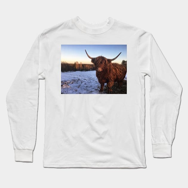 Scottish Highland Cattle Cow 2233 Long Sleeve T-Shirt by SaarelaHighland